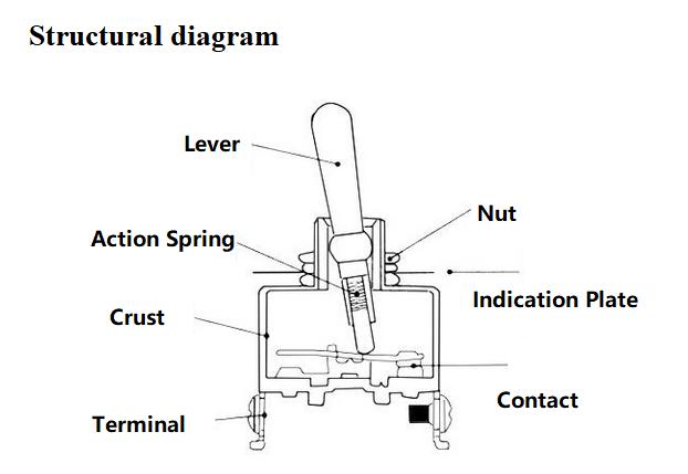 Components and Connection of Toggle Switches